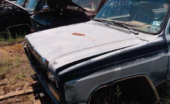 06a66be4-4753-4b4b-5d55-08dc736135c0