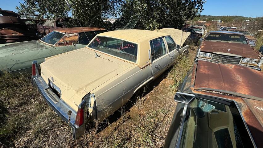 1130a185-5f15-4c9b-1fd7-08dcfe9687a0