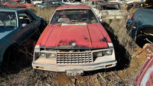 12079ca9-654f-438c-0b4b-08dd08b66db1