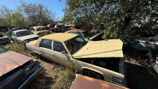 14a06826-412c-42c9-1fd6-08dcfe9687a0