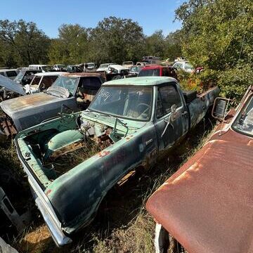 192f7950-9e7e-496e-d334-08dcec65b6ad