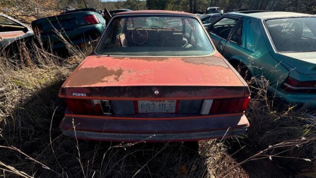 1cb4257a-f8d0-4b83-0b50-08dd08b66db1