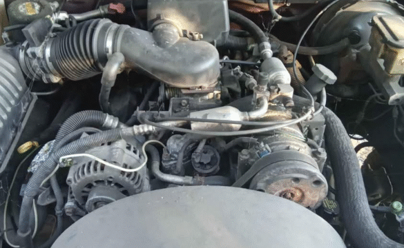 38b0d299-27ae-4001-2675-08dd3706f97c