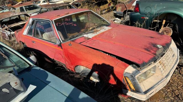 414d6d90-4299-406c-0b4c-08dd08b66db1