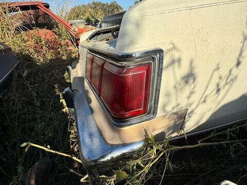 53c64b43-3f29-45d5-c917-08dcf53e5395