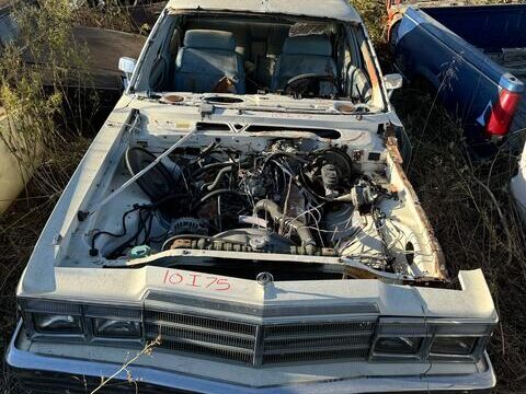 5b4d9c8c-88c5-40e9-c910-08dcf53e5395