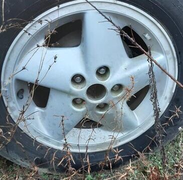 6106e1f9-b671-4796-0b0d-08dd0598376f