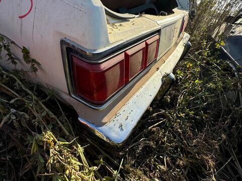 6cc755fc-4168-4102-c915-08dcf53e5395