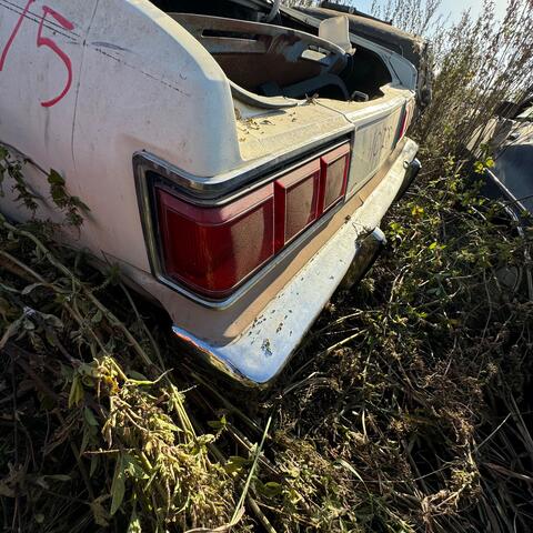 6cc755fc-4168-4102-c915-08dcf53e5395