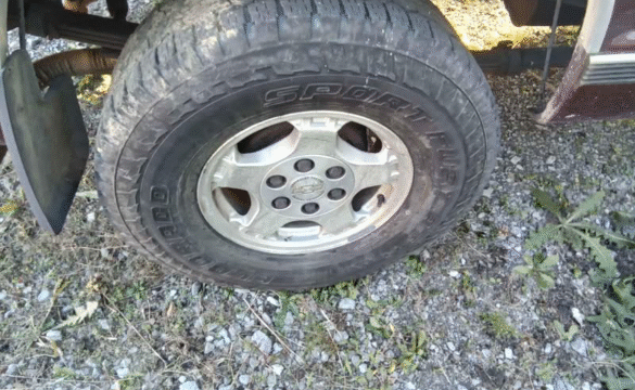 be38167e-6581-4ac1-266f-08dd3706f97c