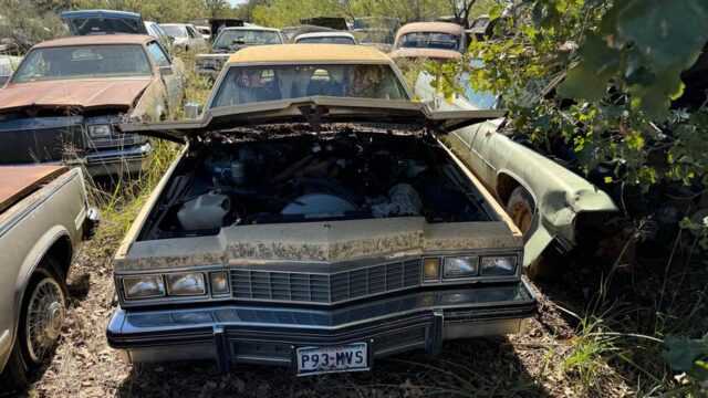 c85b2a54-6837-47d2-1fd5-08dcfe9687a0