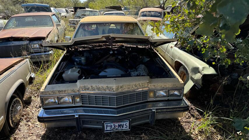 c85b2a54-6837-47d2-1fd5-08dcfe9687a0