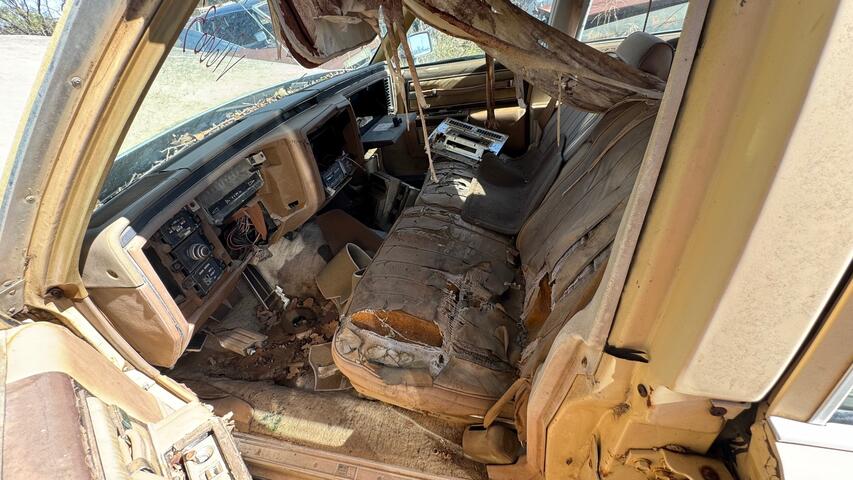 cbc232a2-c593-40c2-1fdc-08dcfe9687a0