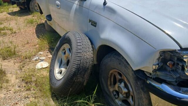 cee0e7de-311f-4deb-8d2b-08ddc096f233