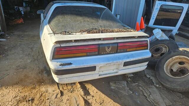 d4bc2595-0b78-4c8b-ac6d-08dd3a6aea99