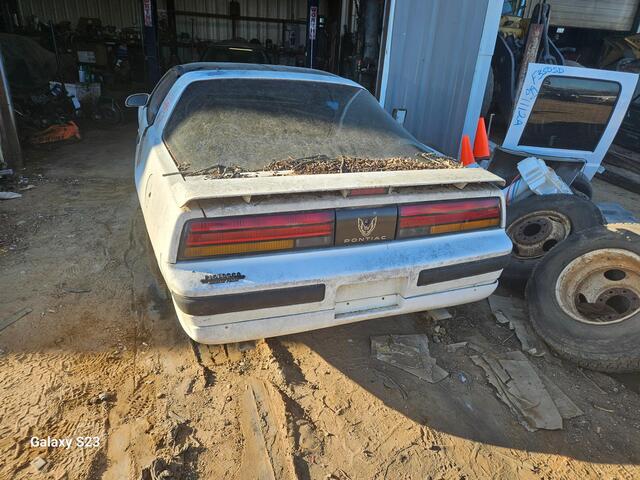 d4bc2595-0b78-4c8b-ac6d-08dd3a6aea99