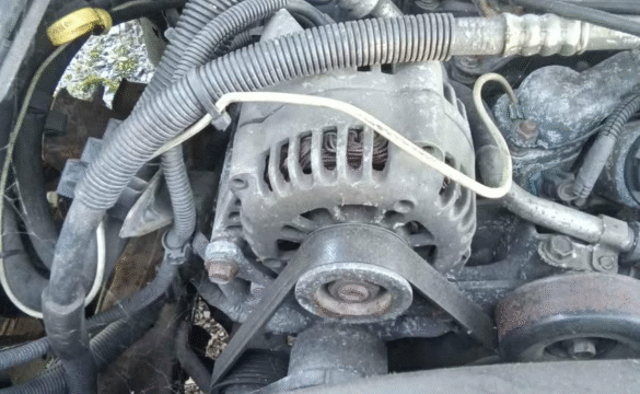 dda7aed7-35c1-4bf3-2670-08dd3706f97c