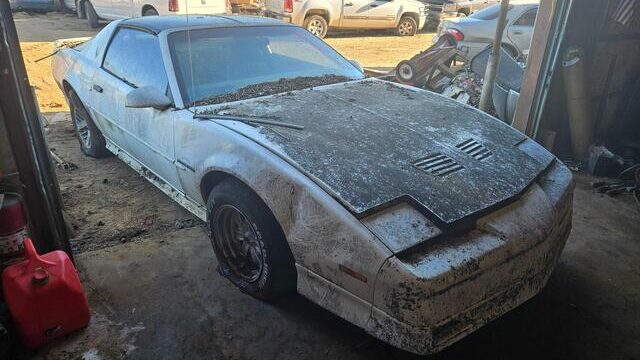 f3e0ac95-c7d5-49e5-ac6b-08dd3a6aea99