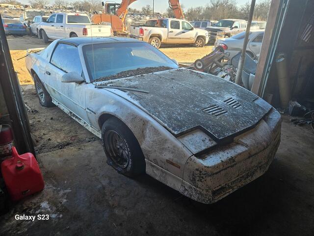 f3e0ac95-c7d5-49e5-ac6b-08dd3a6aea99