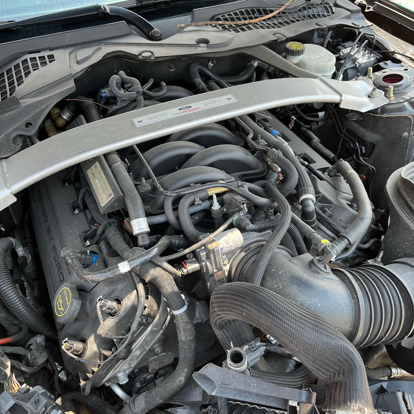 2016 Ford Mustang Shelby GT350 - Image 5